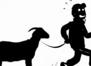 Ada Apa..!! Polsek Tamalatea Belum Amankan Pencuri Kambing di Tamanroya