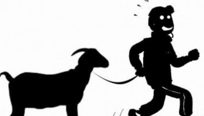 Ada Apa.! Polsek Tamalatea Belum Amankan Pencuri Kambing di Tamanroya