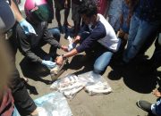 Diduga Kerangka Manusia, Warga Jeneponto Geger Temukan Tulang Belulang Berserakan