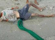 Heboh.! Mayat Paru-Baya Ditemukan di Pinggir Laut Ujung Batu Jeneponto