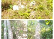 Peningkatan Jalan Ruas Onozalukhu_Holi Nias Utara TA. 2016 diduga Lahan Korupsi