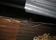 Polsek Binamu Lakukan Olah TKP, Begini Kronologi Meninggalnya Neneng Anjarwati Tewa yang Diduga Tersengat Arus Listrik