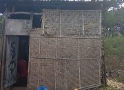 Butuh Uluran Tangan, Ibu Ita Bersama Tiga Anaknya Tinggal Dirumah Reok Tengah Kebun