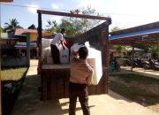 Distribusi Logistik Pemilu Dari PPS Desa Setuntung menuju PPK Belitang Berjalan Lancar