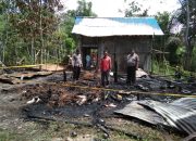 Diduga dari Tungku Masak, Api Hanguskan 1 Unit Rumah di Desa Sekonau