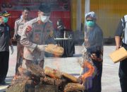 Menjelang Puasa, Polres Madina Musnahkan Puluhan Kilo Ganja Kering