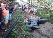 Pohon Tumbang Mengenai Kabel Sutet Telan Korban