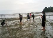 Peringati Hari Mangrove Internasional, KKPG Morowali Gelar Kegiatan Penanaman Bakau Selama 2 Hari