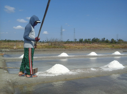Harga Anjlok, Petani Garam Minta Pemerintah Turun Tangan