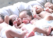 Seorang Wanita Melahirkan Bayi Kembar Lima