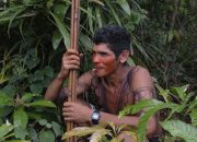 Suku Amazon di Brasil bersiap untuk berperang dengan Penebang Liar