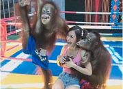 Artis Stella Chen Diraba-raba Orang Utan ketika Berkunjung ke Kebun Binatang