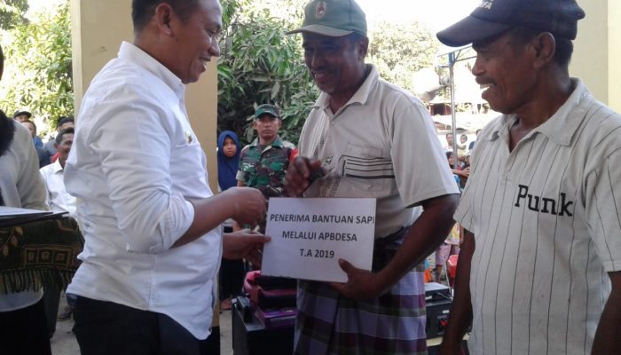 Fokus Program Unggulan, Bupati Takalar Salurkan Bantuan Sapi