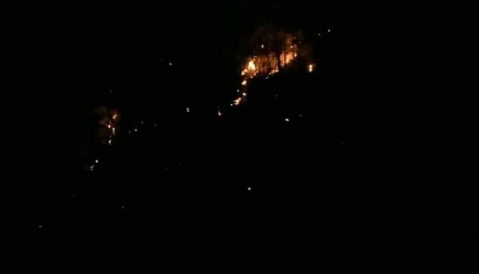 Kebakaran Hutan Kembali Terjadi di Kec. Bolaang