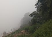 Karhutla, Jangan ‘Main Mata’ dengan Korporasi