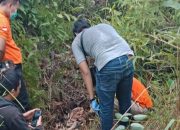 Kerangka Manusia Ditemukan Warga di Belakang Komplek Pasar Baru Sekadau 