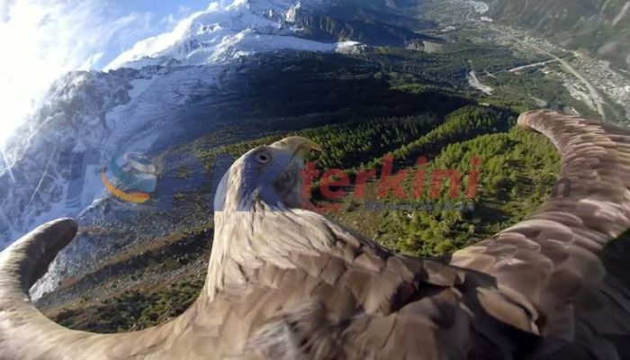 Pandangan mata Elang tentang Pegunungan meningkatkan kesadaran akan perubahan iklim