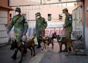 Anjing Polisi mencari Makam tersembunyi di Penjara Yang Terkenal Paling Kejam di Meksiko