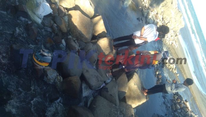 Selain jadi penyebab matinya ikan di Pantai, Limbah Tambak Udang juga jadi penyebab Gagal Panen Rumput Laut