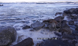 Video: Limbah Tambak Udang di Desa Palajau dibuang ke Laut dan Mengeluarkan bau tak Sedap
