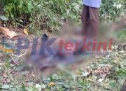 Hampir Seminggu tinggalkan Rumah, Lelaki yang diduga Gangguan Jiwa ditemukan tak Bernyawa