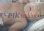 Seorang Kakek ditangkap setelah bayi ditemukan terkubur hidup-hidup