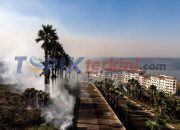 Kebakaran hutan Meksiko Tewaskan Tiga Orang