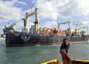 Kapal penangkap ikan paus Jepang kembali setelah perburuan komersial pertama