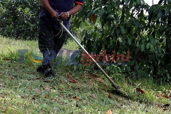 Petugas Pemotong rumput di Melaka Temukan delapan bagian tubuh manusia