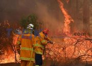 3 Tewas, Lusinan terluka saat Kebakaran Hutan Australia robohkan rumah warga
