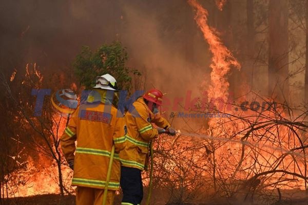 3 Tewas, Lusinan terluka saat Kebakaran Hutan Australia robohkan rumah warga