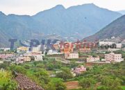 Doa untuk hujan dilakukan di seluruh Arab Saudi