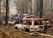 Fakta kunci tentang kebakaran hutan Australia