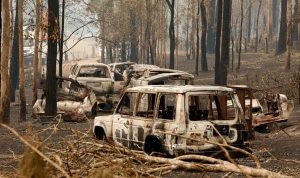 Fakta kunci tentang kebakaran hutan Australia