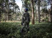 Balas Dendam, Pemberontak di Kongo Membunuh 14 Warga Sipil