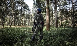 Balas Dendam, Pemberontak di Kongo Membunuh 14 Warga Sipil