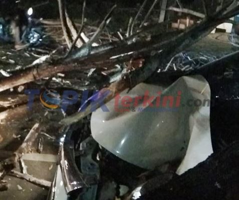 Pohon Tumbang Menimpa sebuah Mobil di Bone