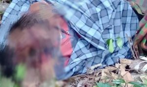 Diduga Tertimpa pohon, Lelaki Asal Bulukumba ditemukan Tewas di Bone