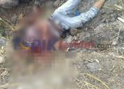 Breaking News: Seorang lelaki di tebas hingga Kepala terpisah dengan Badan