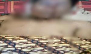 Ditinggal Istri ke Pesta, Lelaki di Bone ditemukan Tewas diduga Jatuh dari pohon Kelapa