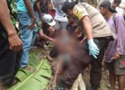 Diduga Terlilit dan Terjerat Tali Sapi, Mayat Lelaki Paruh Baya ditemukan Dipersawahan