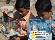 Luar Biasa, Anak-anak di bandung diberikan hewan peliharaan untuk Menjauhkan mereka dari ponsel pintar