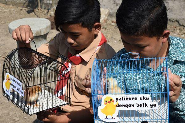 Luar Biasa, Anak-anak di bandung diberikan hewan peliharaan untuk Menjauhkan mereka dari ponsel pintar
