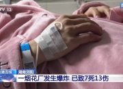 7 Orang tewas dalam Ledakan pabrik kembang api di China