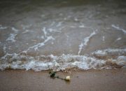 15 Tahun berlalu, Ratusan korban tsunami Thailand belum diidentifikasi