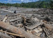 Dua tewas, 50 rumah tertutup lumpur saat banjir bandang melanda Sigi