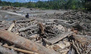 Dua tewas, 50 rumah tertutup lumpur saat banjir bandang melanda Sigi