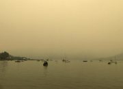 Asap api semak belukar Australia mengubah gletser Selandia Baru menjadi cokelat