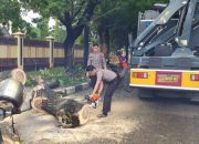 Gerak Cepat, Patroli Dit Samapta Polda Sulsel Evakuasi Pohon Tumbang