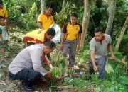 Peduli Penghijauan, Polsek Wotu Lakukan Tanam Pohon
